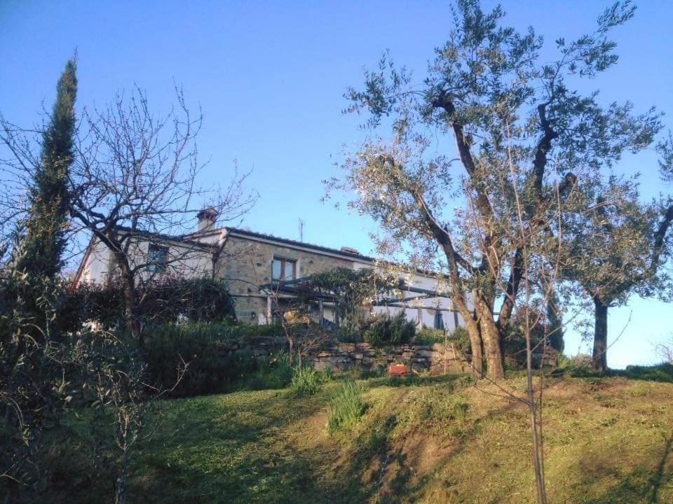 Agriturismo Menghino Nievole المظهر الخارجي الصورة