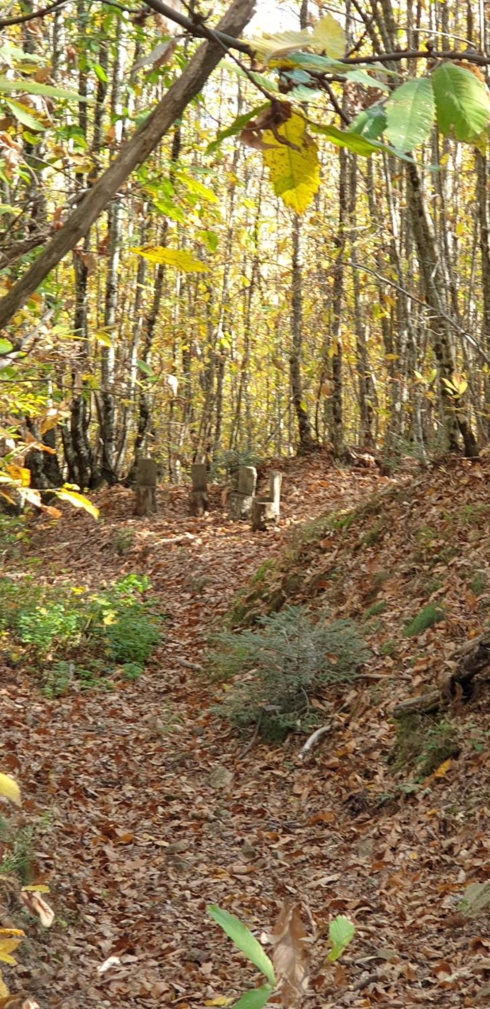 Agriturismo Menghino Nievole المظهر الخارجي الصورة